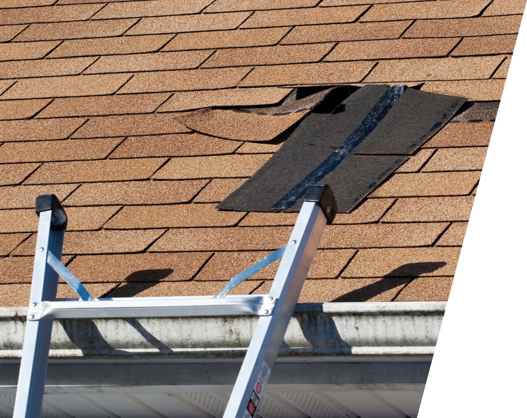 roof repairs service welcome image